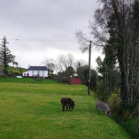 Meenadreen Cottage Donegal Town Eksteriør billede