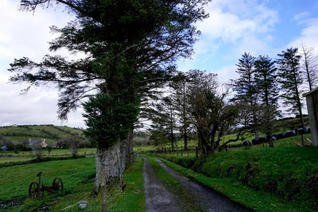 Meenadreen Cottage Donegal Town Eksteriør billede