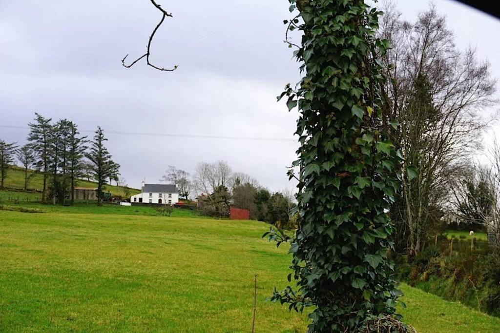 Meenadreen Cottage Donegal Town Eksteriør billede